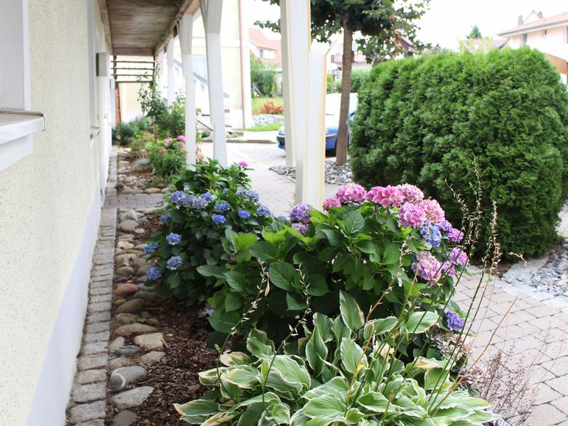صورة الفندق 7