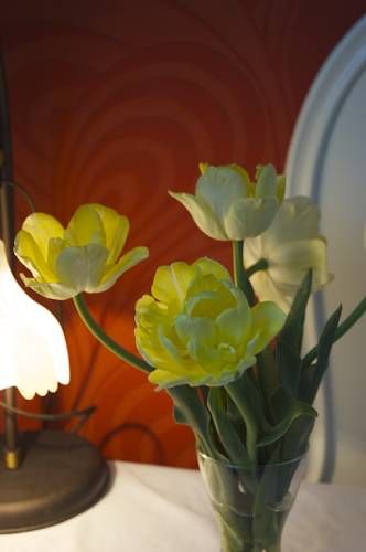 صورة الفندق 22