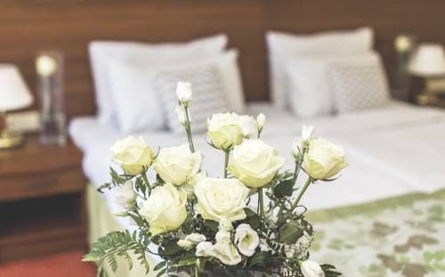 صورة الفندق 12