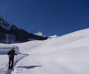 Ferienbauernhof Erath Schoppernau Austria