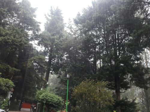 صورة الفندق 13