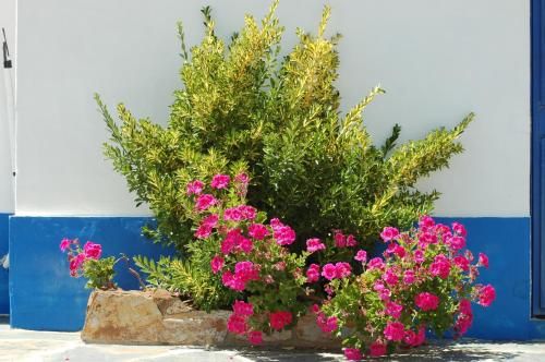 صورة الفندق 12
