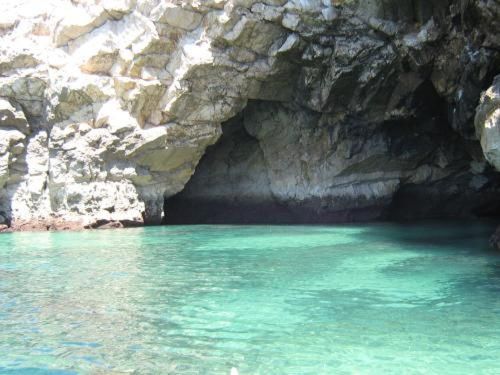 صورة الفندق 17