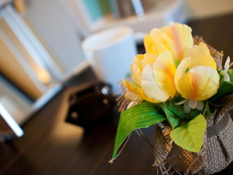 صورة الفندق 15