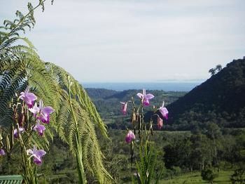 صورة الفندق 20