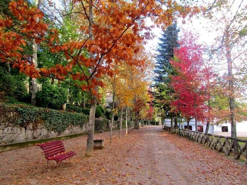 صورة الفندق 22