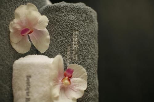 صورة الفندق 20