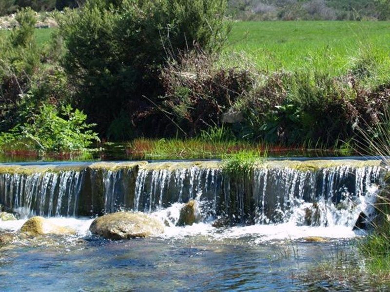 صورة الفندق 20