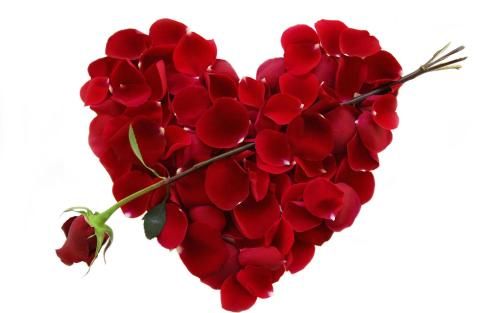 صورة الفندق 18