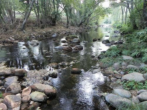 صورة الفندق 14