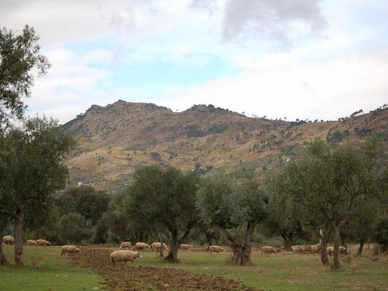 صورة الفندق 7