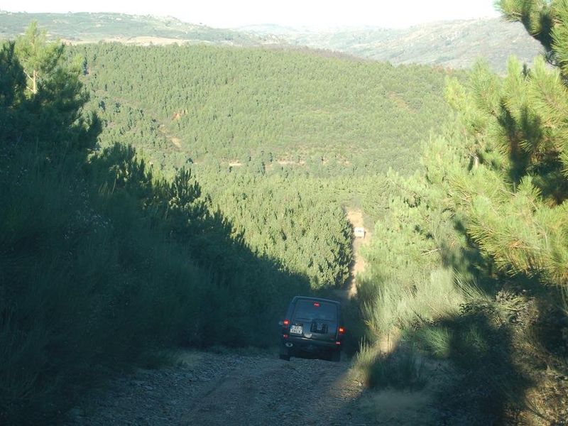 صورة الفندق 8