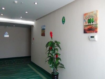 صورة الفندق 19