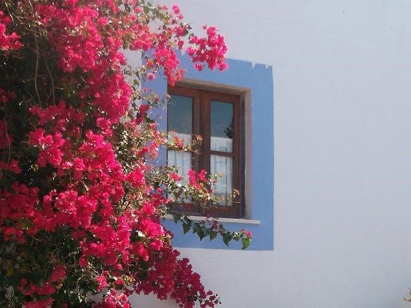 صورة الفندق 14