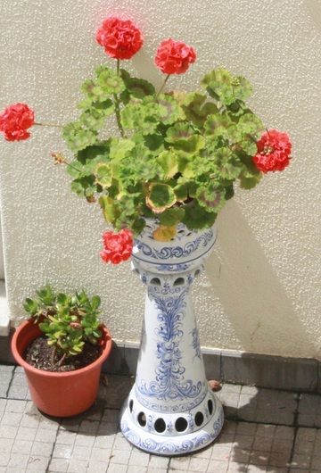 صورة الفندق 20