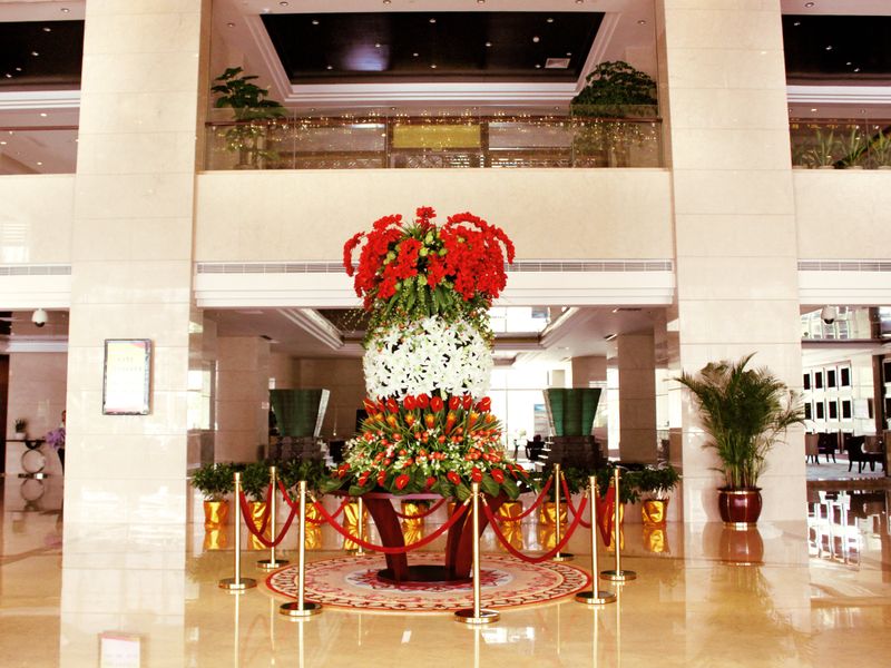 Hotel Photo 8