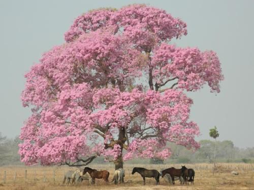 صورة الفندق 11