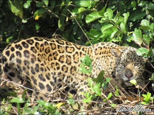 صورة الفندق 19