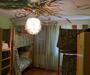 Freeborn Hostel Timisoara Romania