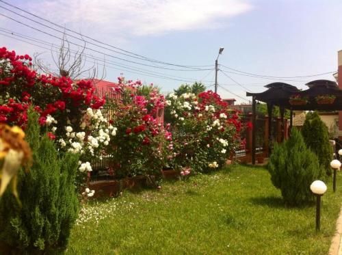 صورة الفندق 10