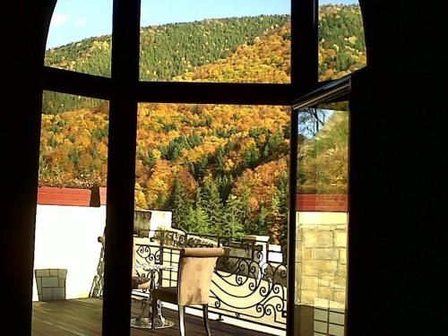 صورة الفندق 20