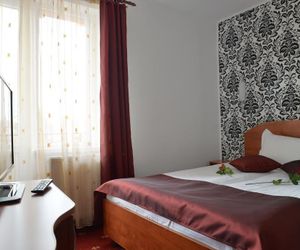 Pension Lion Sibiu Romania