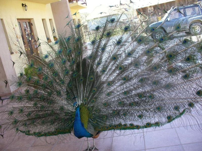 صورة الفندق 18