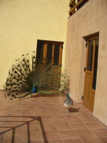 صورة الفندق 24