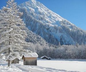 Ferienwohnungen Lingg Schoppernau Austria