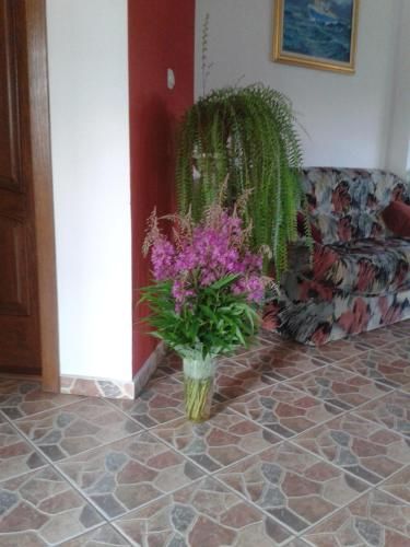 صورة الفندق 17