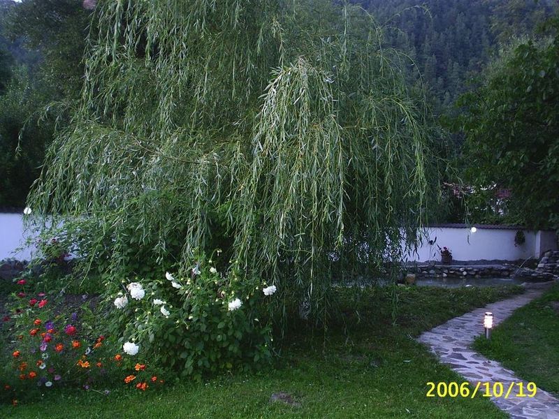 صورة الفندق 10