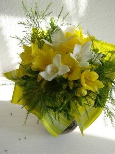صورة الفندق 17