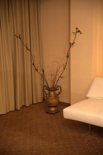 صورة الفندق 7