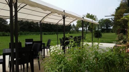 صورة الفندق 21
