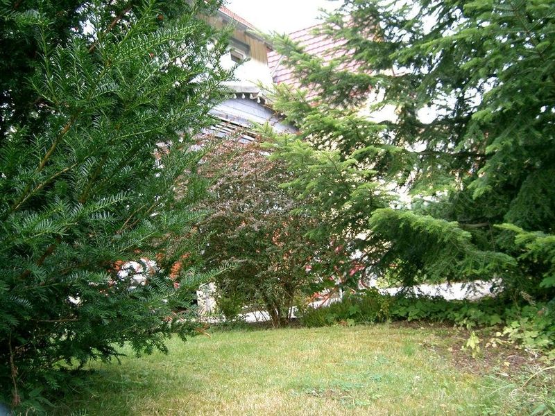 صورة الفندق 12