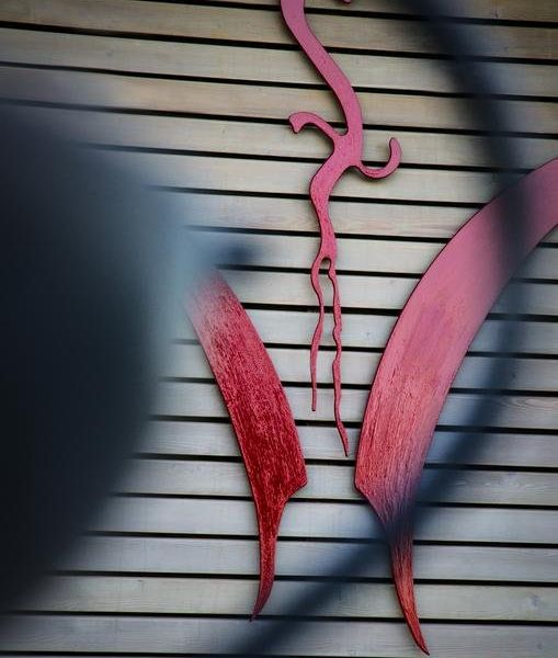 صورة الفندق 12