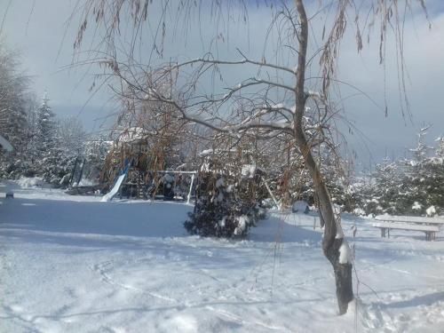 صورة الفندق 8