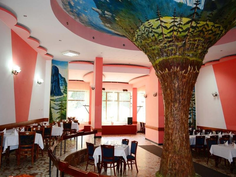 Hotel Photo 11