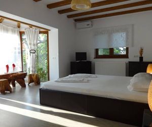 Villa Zorba Bucharest Romania