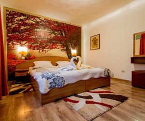 Pension Casa Timar Brasov Romania