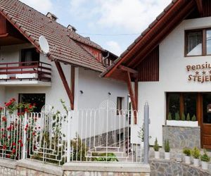 Pension Stejeris Brasov Romania