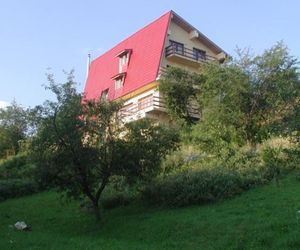 Pension Poiana Verde Bran Romania