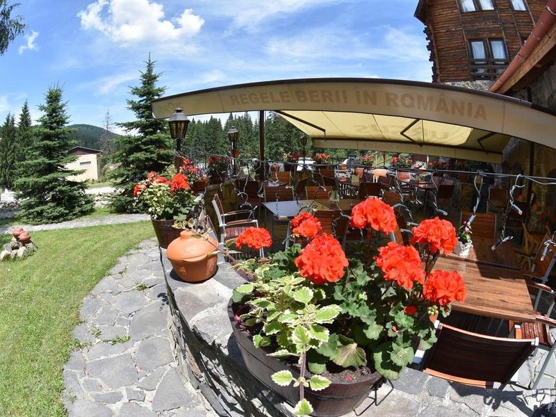 Hotel Photo 22