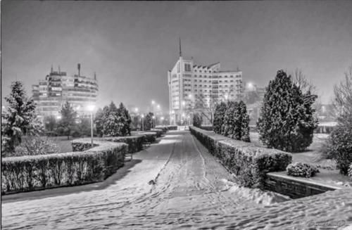 صورة الفندق 21