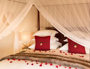 Royal Madikwe Luxury Safari Lodge Madikwe Game Reserve South Africa