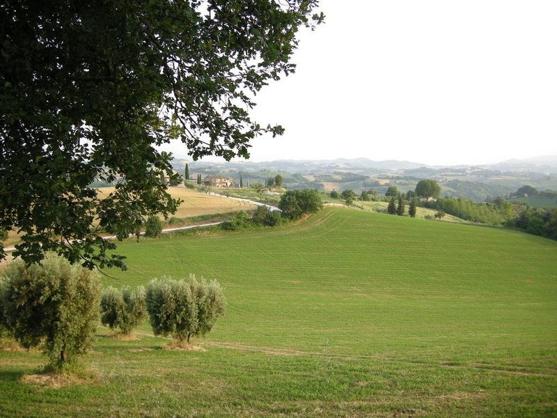 صورة الفندق 9