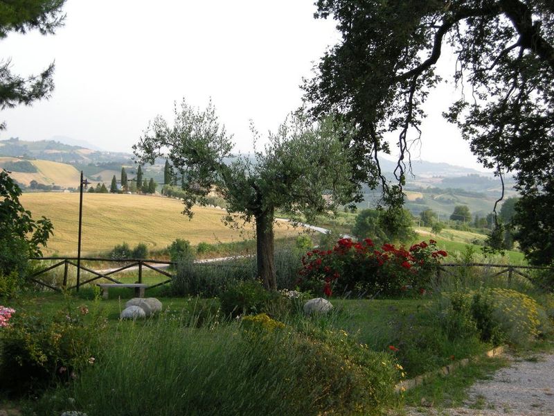 صورة الفندق 10