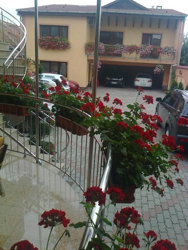 صورة الفندق 14