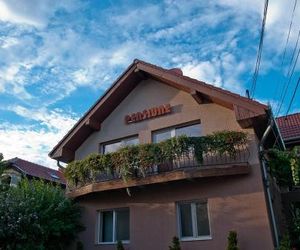 Pension Miorita Arad Romania