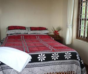 Peace Dragon Lodge Pokhara Nepal